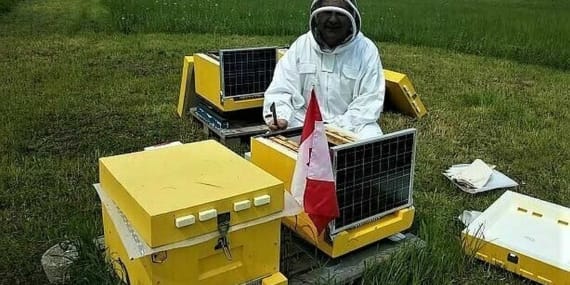 Akıllı Kovan Teknolojileri: Arıcılıkta Dijital Dönüşüm