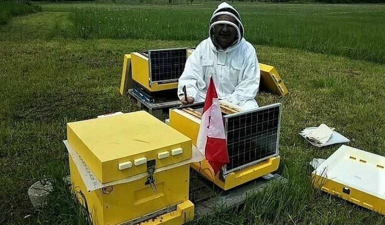 Akıllı Kovan Teknolojileri: Arıcılıkta Dijital Dönüşüm