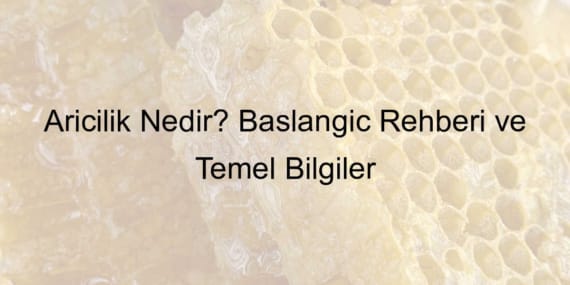 Arıcılık Nedir? Başlangıç Rehberi ve Temel Bilgiler