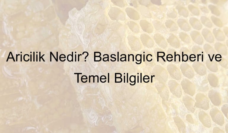 Arıcılık Nedir? Başlangıç Rehberi ve Temel Bilgiler