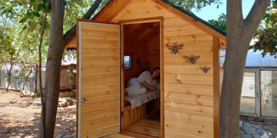 Arı Evi Projesi Türkiye’de Bir İlk