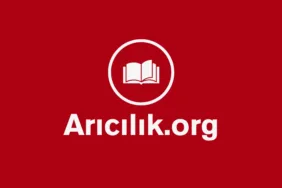 Türkiye’de arıcılığın sesi olan aricilik.org platformunun tanıtım görseli