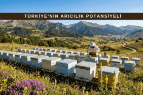 Türkiye’nin zengin bitki örtüsü ve endemik çiçekleri arasında kurulu modern arıcılık tesisleri.