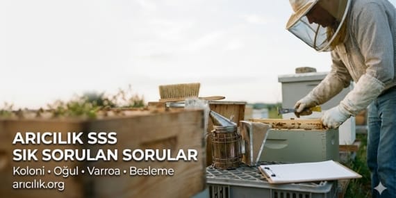Arıcılık Hakkında Sık Sorulan Sorular (SSS)