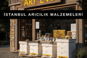 İstanbul’da arıcılık malzemeleri ve satılık arılar ile ilgili temsili görsel, yapay zeka ile tasarlanmıştır