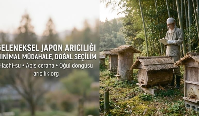 Geleneksel Japon Arıcılığı: Kökeni, Teknikleri ve Türkiye’de Uygulanabilirliği Üzerine Kapsamlı Bir İnceleme