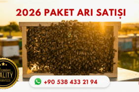 paket-ari-satisi-garantili