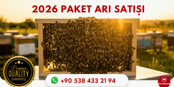 2026 Paket Arı Satışı: 8 Çıtalı Garantili Koloniler