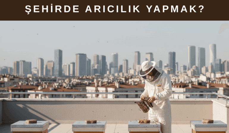 Şehir arıcılığı türkiye’ye geliyor mu? çatılarda kovan dönemi başlar mı?
