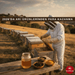 Propolis: Bağışıklığı Güçlendiren Doğal Mucize thumbnail