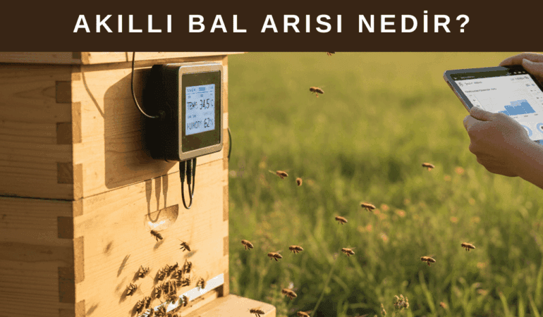 Akıllı Bal Arısı Nedir? Arıcılıkta Dijital Dönüşüm Gerçek mi?
