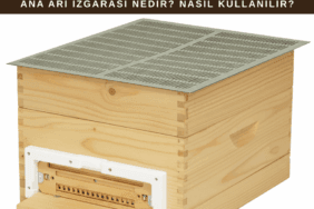 Kovan üzerinde ana arı ızgarası kullanımı gösteren, ana arının üst kata geçmesini engelleyen arıcılık ekipmanı.
