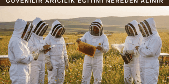 Arıcılık Eğitimleri ve Arıcılık Sertifikaları