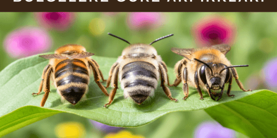 Bölgelere Göre Arı Irkları ve Özellikleri