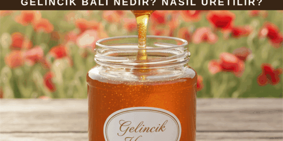 Gelincik Balı: Hafif Aroması ve Faydaları Nelerdir?
