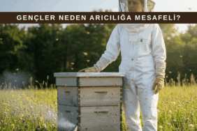 Kovan başında duran genç bir arıcı ve arka planda arı kovanları bulunan kırsal arıcılık ortamı