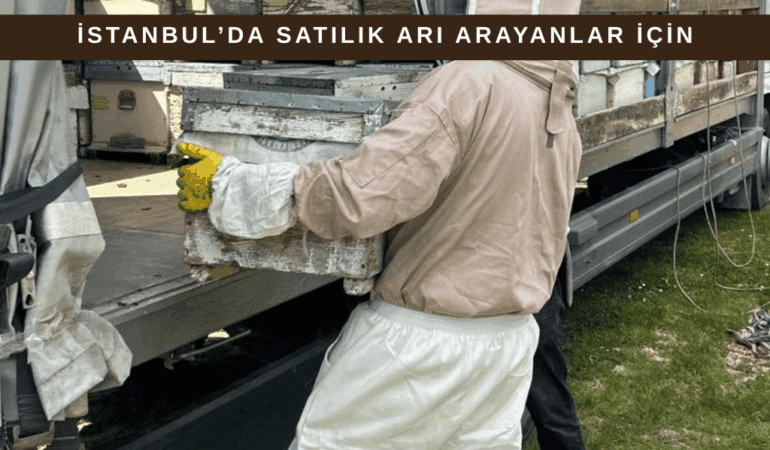 İstanbul Satılık Arı