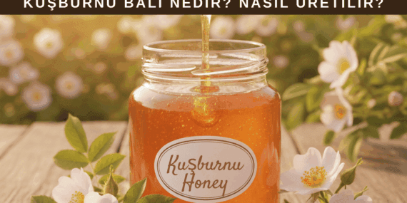 Kuşburnu Balı: Nedir? Nasıl Üretilir? Faydaları Nelerdir?