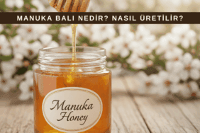 Manuka balı hakkında bilgiler, doğal antibakteriyel ve şifalı etkileri