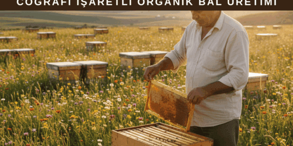 Organik Bal ve Coğrafi İşaretli Bal Üretimi