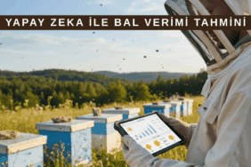 Yapay zeka ile bal verimi tahmini yapan modern arıcılık uygulaması