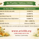 Paket Arı Nakliye ve Teslim Süreci Nasıl İşler? thumbnail