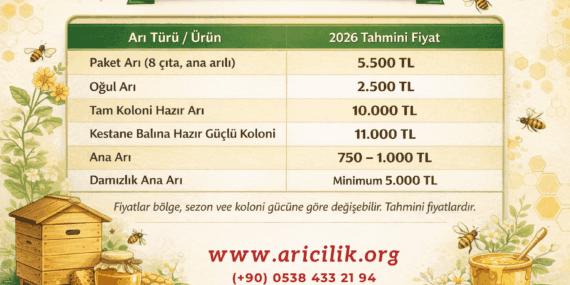 2026’da Arı Ne Kadar? Arı Fiyatları, Paket Arı Fiyatı ve Satılık Arı