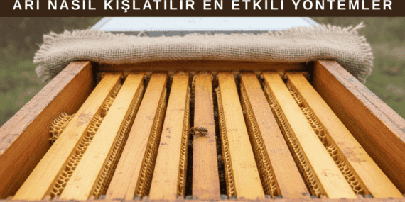 Arı Nasıl Kışlatılır?