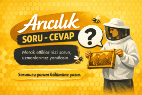 Arıcılık soru cevap görseli, arıcı ve petek çerçevesi ile soru sorma çağrısı