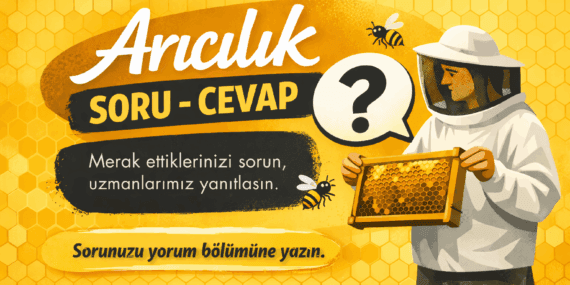 Arıcılık Bünyesinde Merak Ettiklerinizi Sorun, Uzmanlarımız Yanıtlasın