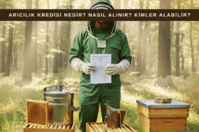 Arıcılık kredisi başvurusu ve arıcılık ekipmanları temalı görsel