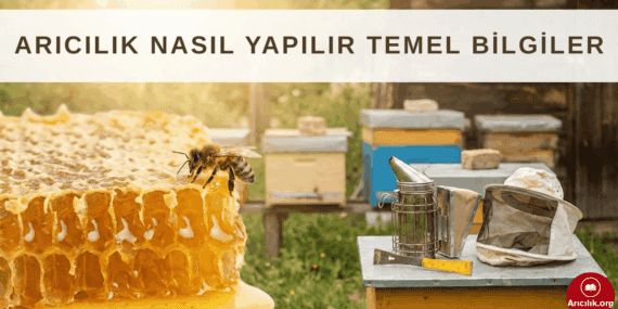 Arıcılık Nasıl Yapılır? Belgeler, Maliyet, Malzeme ve Sezon Bilgilendirmesi