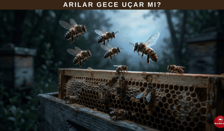 Arılar Gece Uçar mı?