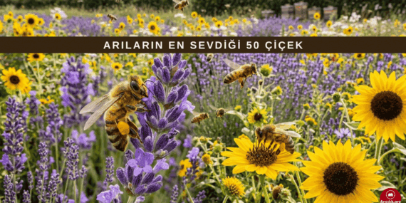 Arıların En Sevdiği Çiçekler Nelerdir