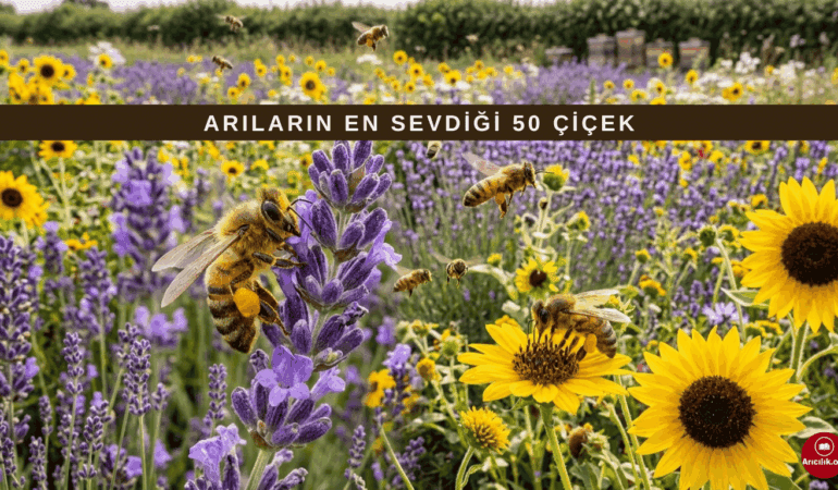 Arıların En Sevdiği Çiçekler Nelerdir