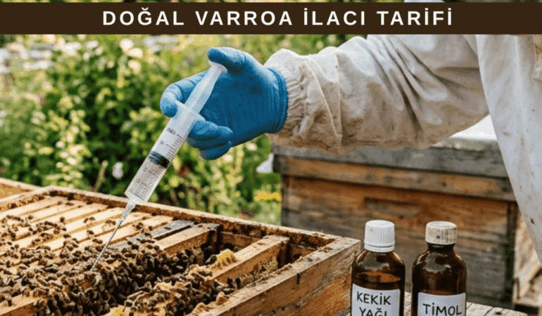 Doğal Varroa İlacı Tarifi (Etkili ve Uygulanabilir Yöntemler)