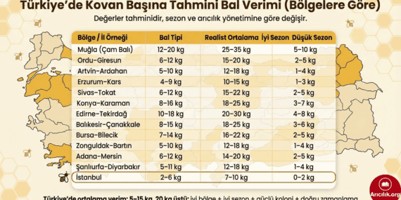 Kovan Başına Kaç Kg Bal Alınır? Bölgesel Verim