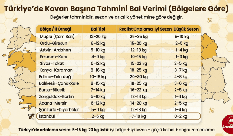 Kovan Başına Kaç Kg Bal Alınır? Bölgesel Verim