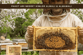 8 çıtalık paket arı ve kapalı yavrulu çerçeveler (ana arılı)