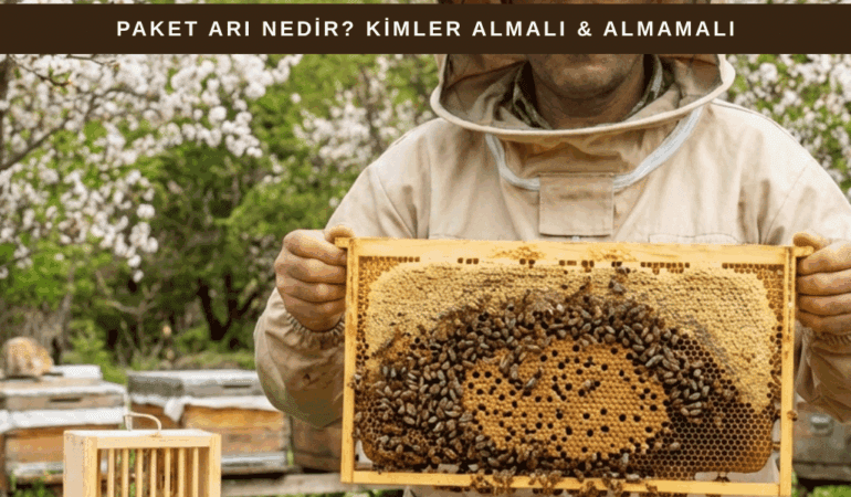 Paket Arı Nedir? Kimler Almalı, Kimler Almamalı?