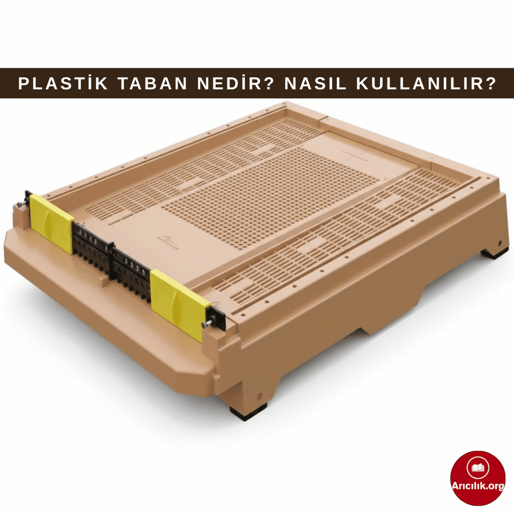 Polen tuzaklı plastik kovan tabanı, file taban ve varroa döküm tepsisiyle birlikte