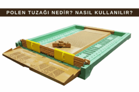 Polen Tuzağı Nedir? Nasıl Kullanılır? Faydaları Nelerdir? Polen tuzağı kovan tabanına entegre edilmiş, arıların kovana girerken taşıdığı polenleri alt tepside toplayan arıcılık ekipmanı