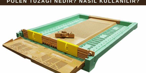 Polen Tuzağı Nedir? Nasıl Kullanılır? Faydaları Nelerdir?