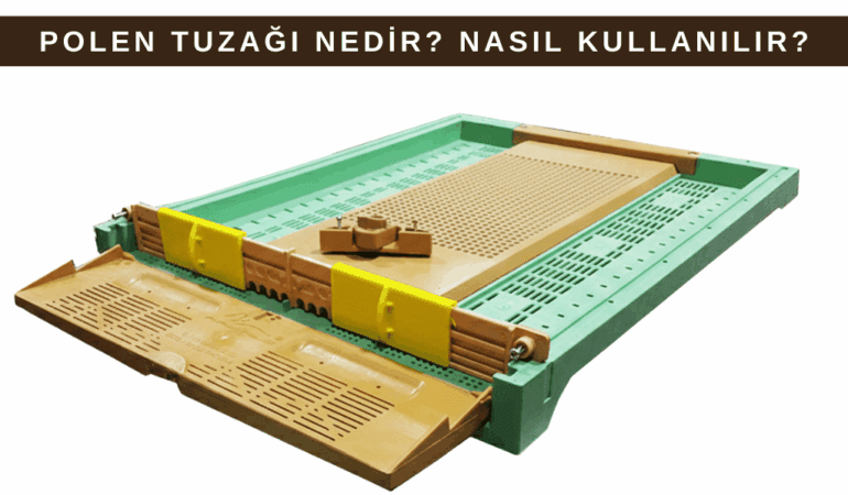 Polen Tuzağı Nedir? Nasıl Kullanılır? Faydaları Nelerdir?