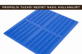 Propolis tuzağı, kovan kapağı altında kullanılan ve arıların boşlukları propolisle kapatmasıyla propolis hasadı yapılan arıcılık ekipmanı