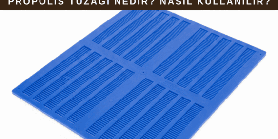 Propolis Tuzağı Nedir? Nasıl Kullanılır? Faydaları Nelerdir?