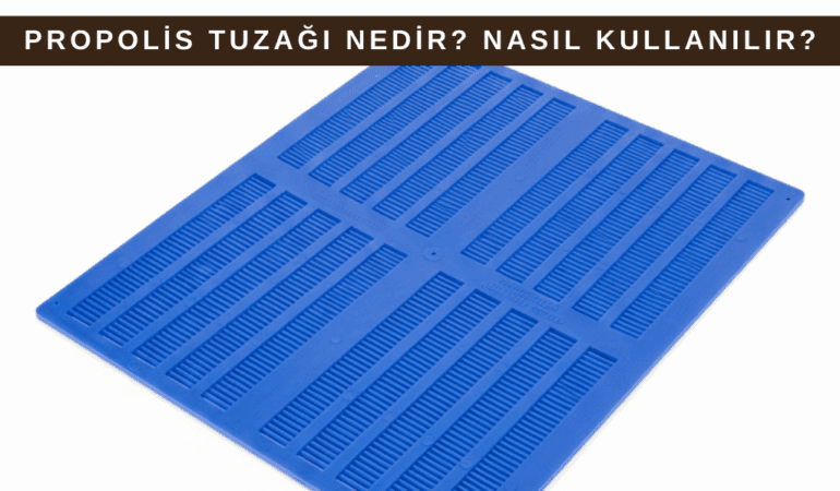 Propolis Tuzağı Nedir? Nasıl Kullanılır? Faydaları Nelerdir?
