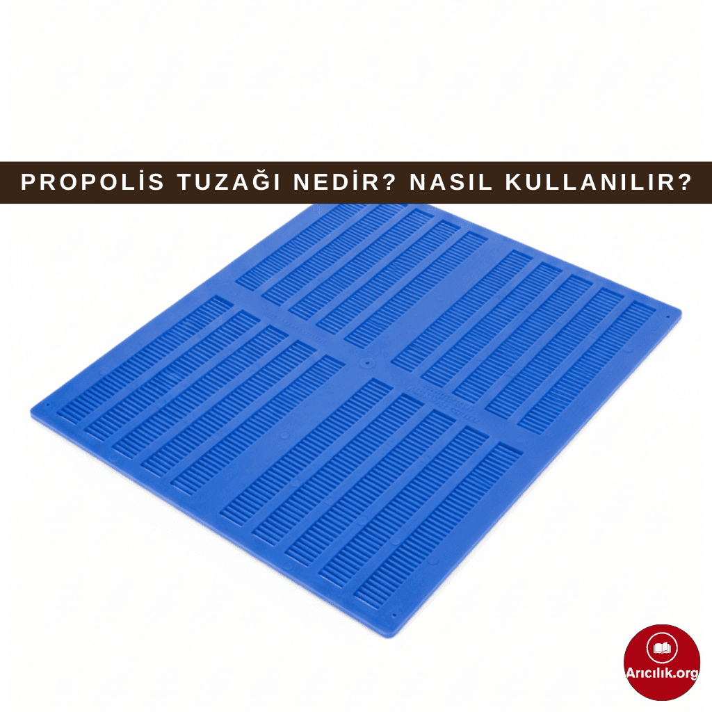 Propolis tuzağı, kovan kapağı altında kullanılan ve arıların boşlukları propolisle kapatmasıyla propolis hasadı yapılan arıcılık ekipmanı