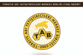 Türkiye Arı Yetiştiricileri Merkez Birliği (TAB) nedir sorusunu açıklayan bilgilendirici görsel