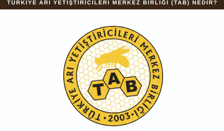 Türkiye Arı Yetiştiricileri Merkez Birliği (TAB) Nedir? Görevleri ve Faaliyetleri